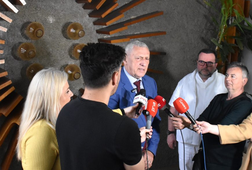 niška banja institut